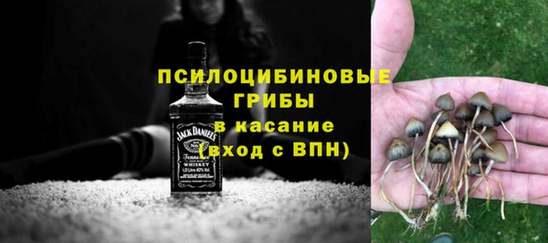эйфоретик Арсеньев