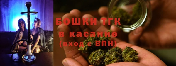 эйфоретик Арсеньев