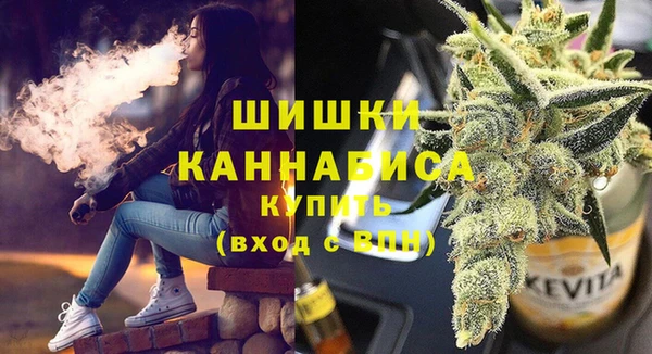 эйфоретик Арсеньев